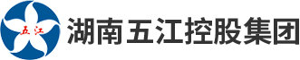湖南AGIN games控股集团有限公司